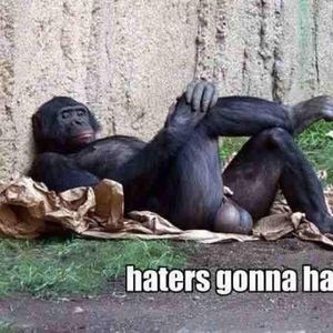 Meet your Posher, Ben